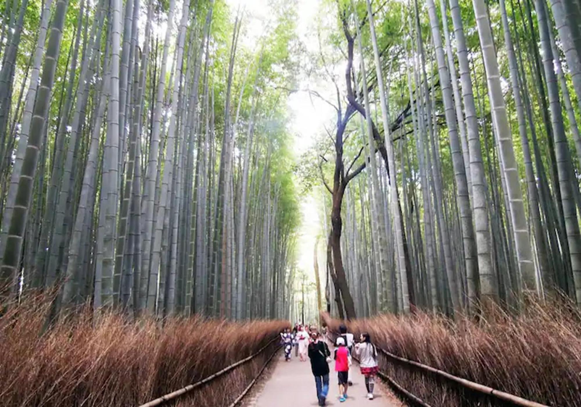402 Newly Opened Hotel Baika Family Friendly Free Parking 10 Minutes To Usj 大阪市 エクステリア 写真